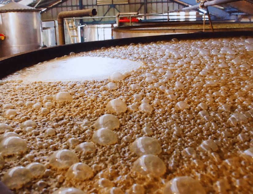 Fermentation tanks